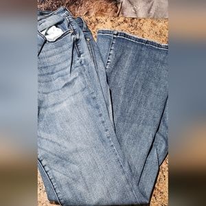 Judy Blue 15 Flare Jeans